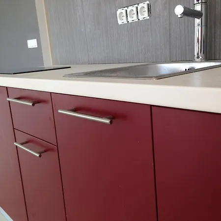 Exclusive Palace Apartament